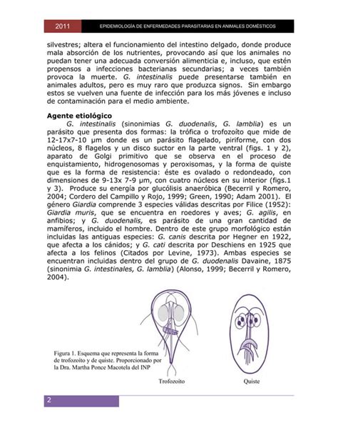 Epidemiologia De Enfermedades Parasitarias En Animales Domesticospdf