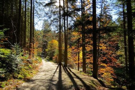 Tiwali Gm Nd Blockheide Sterreich Bergfex Wandelen Tocht