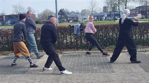 Taijiquan Practice Yang 108 Form 楊氏太極拳 Tai Chi Apeldoorn He Yong Gan