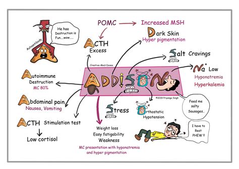 Adrenal Insufficiency Pathophysiology