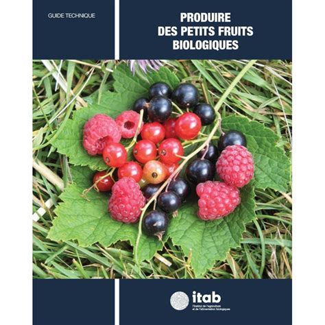 NOUVEAU Guide Technique De L ITAB Produire Des Petits Fruits Biologiques