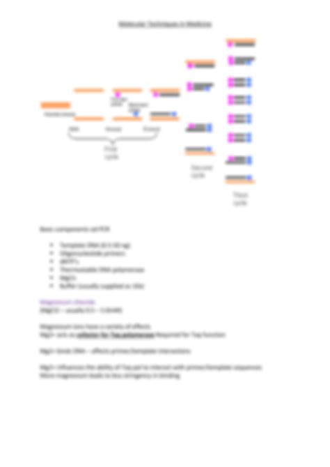 Solution The Polymerase Chain Reaction Studypool