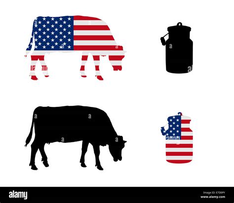 American milk cow Stock Photo - Alamy