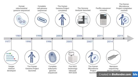 Dna Sequencing Definition Principle Types Steps Applications