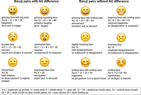 Semantic Differences In Visually Similar Face Emojis Language And