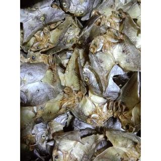 Dried Unsalted Boneless Dangit Fish Fresh From Bantayan Island Cebu In