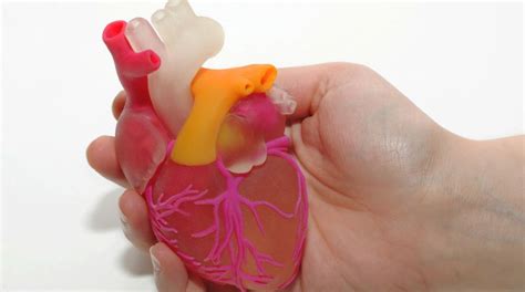 Unique D Printed Heart Valves Could Improve Surgery Outcomes The