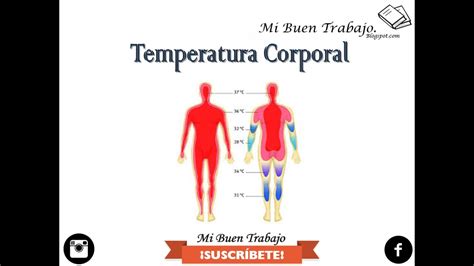 Temperatura Corporal Mi Buen Trabajo YouTube