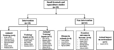 Diagram Of Intervention And Non Intervention Types Download