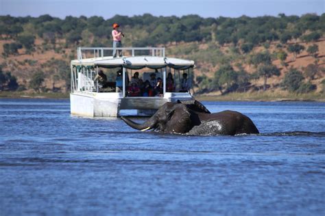 Okavango River Cruise | Join Up Safaris