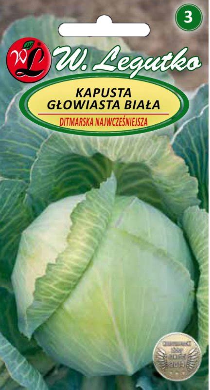 Nasiona Kapusta Głowiasta Biała Ditmarska Wczesna LEGUTKO Sklep