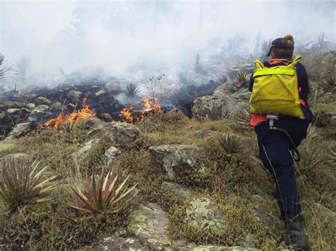 Más de 7 mil 500 hectáreas consumidas por incendio en Sierra de San