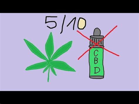 Cbd Czyli Spodziewa Em Si Placebo A Otrzyma Em Produkt Przeci Tny