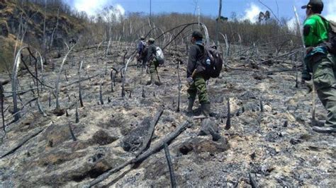 Titik Api Tak Tampak Lagi Kebakaran Lahan Dan Hutan Di Lereng Gunung