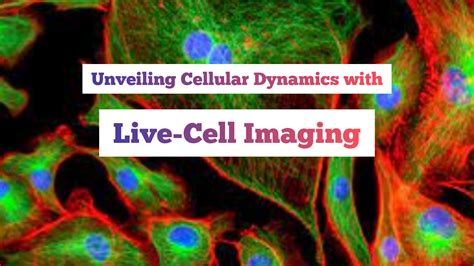 Live-Cell Imaging - World Wide Galaxy