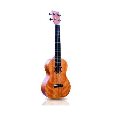 Guía Básica De Ukelele Acordes Notas Y Afinación Ardemadrid