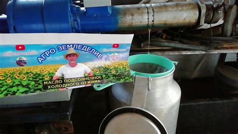 Масло сыродавленное холодного отжима. Цена живого масла. - YouTube