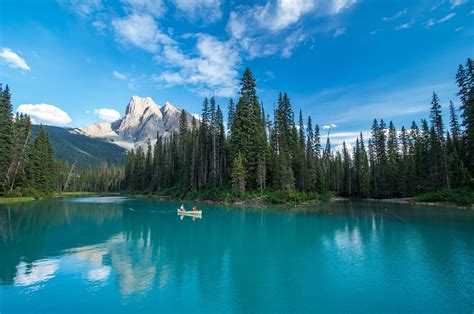 Banff National Park, Canada, Yoho National Park, Canada, trees, lake HD ...