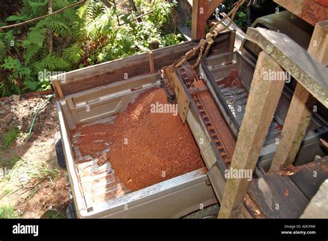 Saw Dust From The Saw Mill Operation Is Automatically Moved By A Belt