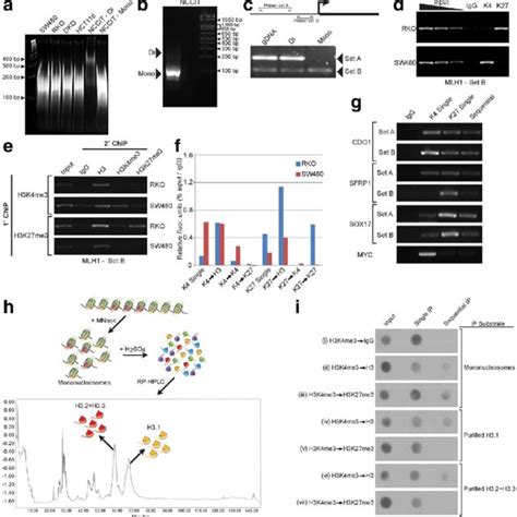 Distribution Of Chip Seq Reads Around The Tss For Gene Promoters Of