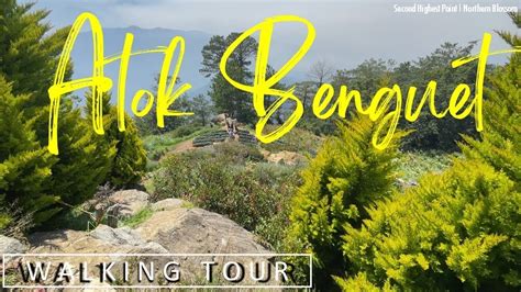 Atok Benguet Walking Tour At Second Highest Point Northern Blossom