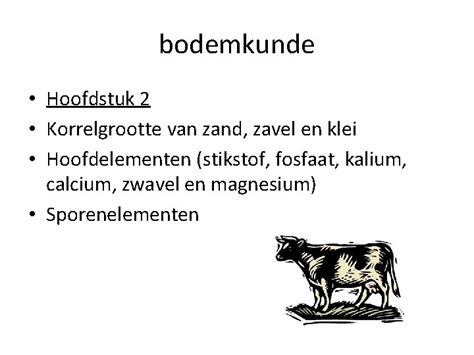 Bodemkunde Boek Bodemsignalen H H En