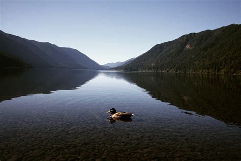 Lake Crescent Olympic National Park Rnationalpark