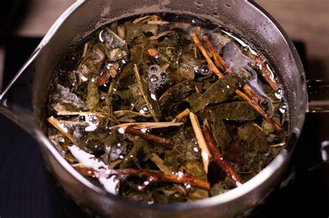 My First Fermented Tea Rtea