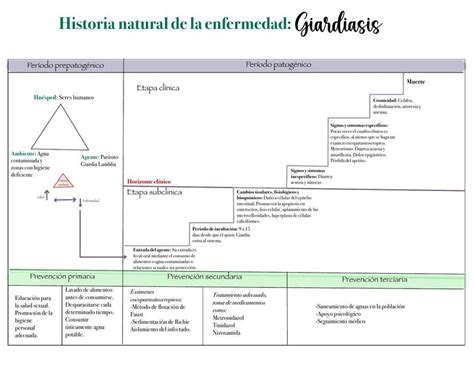 Giardiasis Brianda Daniela Quijano Centeno Udocz