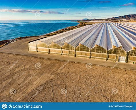 Aerial View Commercial Greenhouses On Coast Spain Stock Photo Image