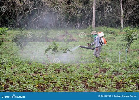 Crop Fumigation Stock Image Image Of Working Fumigation 86557939