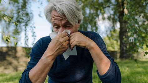 allergies  science