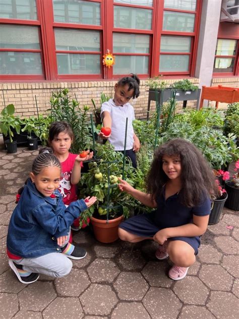 Preschoolers Smelling The Roses Psis 45 K Horace E Greene