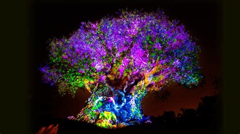 Tree of Life | Animal Kingdom Attractions | Walt Disney World Resort