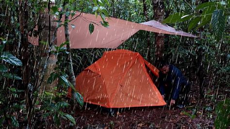 2 Hari Solo Camping Di Hutan Hujan Di Hutan Yang Lebat Udara Dingin