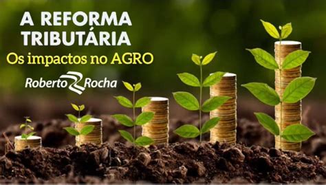 Roberto Rocha exalta reforma tributária como peça fundamental para o