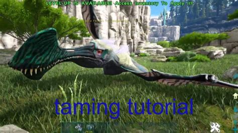 Ark How To Tame Tropeognathus Taming Tutorial The New Creature Youtube