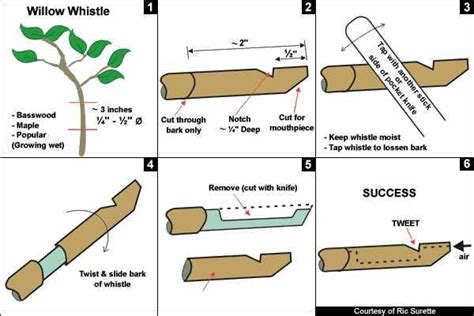 Creating a wooden penny whistle is a fun yet challenging process. With ...