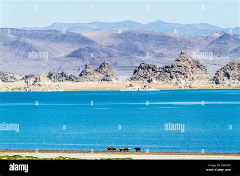 Nevada Pyramid Lake Indian Reservation Hi Res Stock Photography And