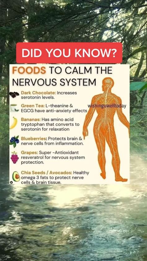 Foods To Calm The Nervous System Holistic Health Nutrition Nervous System Home Health Remedies