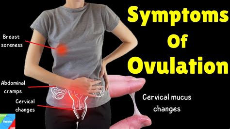 Ovulation Symptoms Signs Of Ovulation And How To Know When You Are