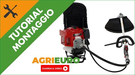 Decespugliatore A Zaino Euromech Tj Montaggio Youtube