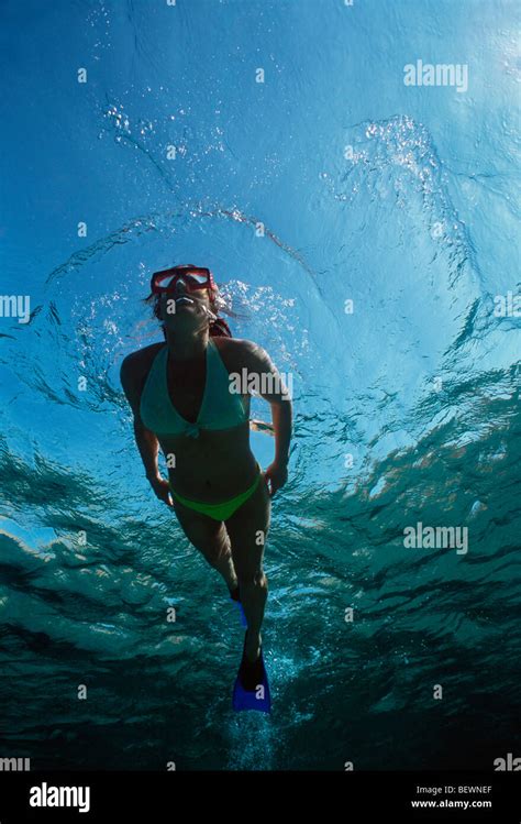 Free Diver Explores Blue Water Beside Coral Reef Sinai Egypt Red