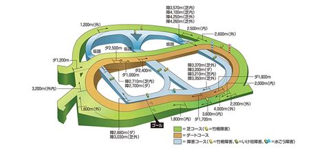 中山競馬場のコース紹介と特徴 西風馬券道 競馬で生きる道