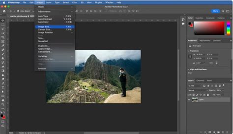 Complete Review of Adobe Photoshop(updated) - Cut Out House