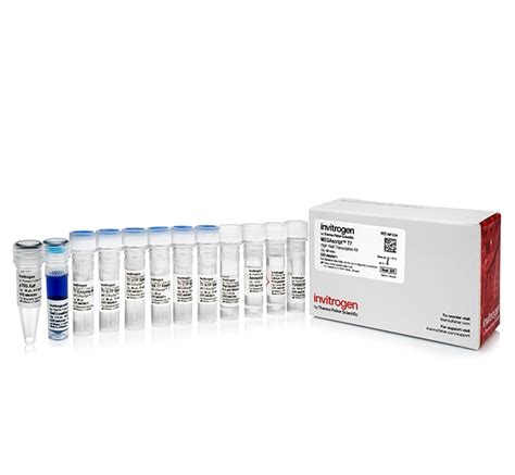 Megascript T7 Transcription Kit Thermo Fisher Scientific