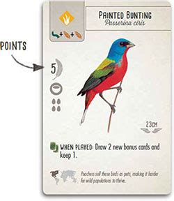 How to play Wingspan | Official Rules | UltraBoardGames