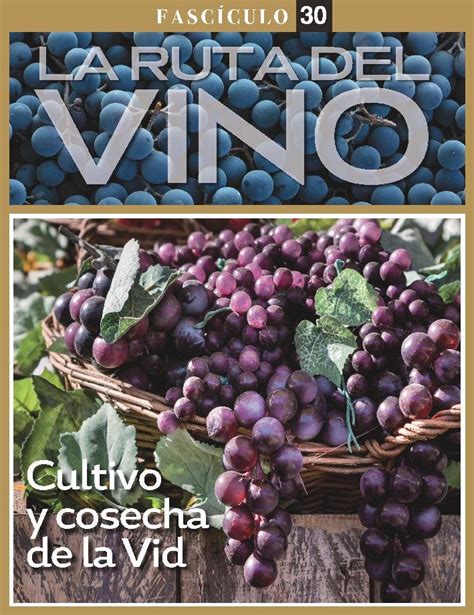 La Ruta Del Vino Fasciculo Digital Discountmags