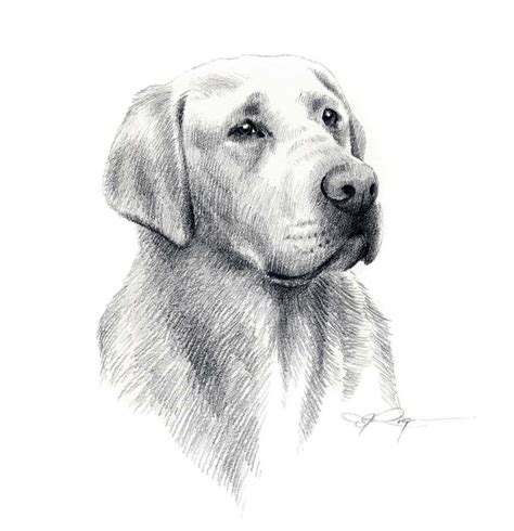 LABRADOR RETRIEVER Dog Pencil Drawing Art Print by Artist DJ Rogers ...