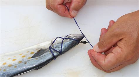 How To Rig A Spanish Mackerel FISHTRACK